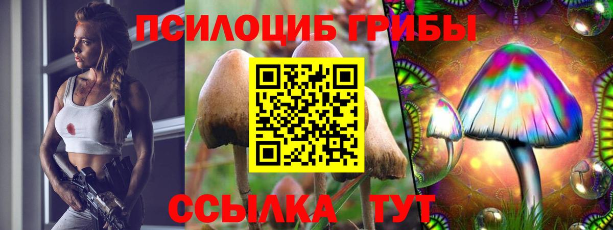Тобольск  Псилоцибиновые грибы Psilocybe  Галлюциногенные грибы GOLDEN TEACHER  Вход с VPN 
